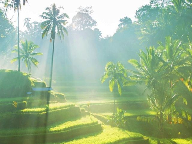 Bali en Lombok
