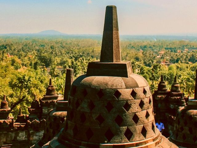 Groen, groener, groenst van Java naar Bali