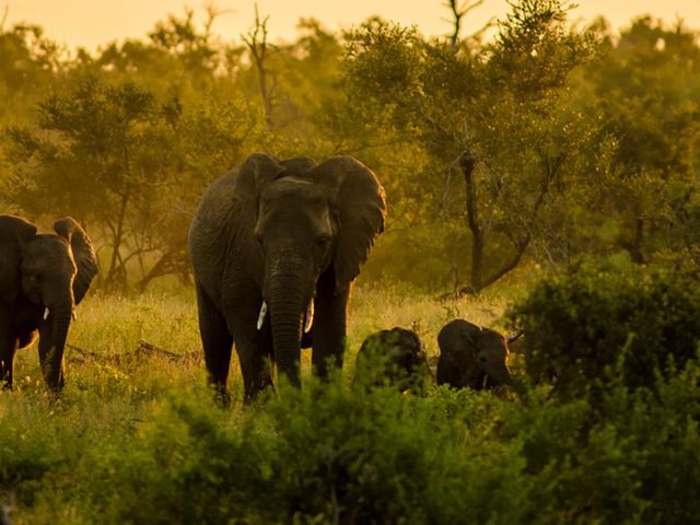 Van het gebaande pad in Limpopo