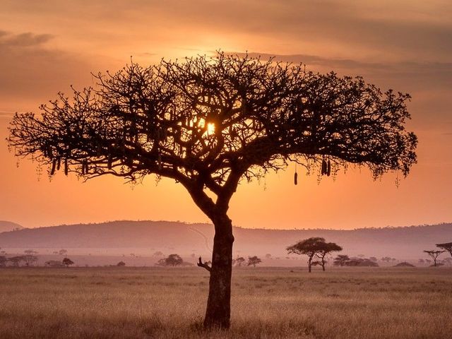 Actief door de natuur in Zuid-Afrika