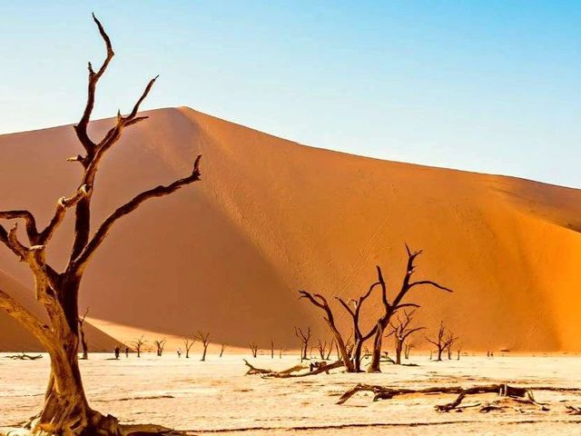 Van Kaapse kusten naar niemandsland in Namibië