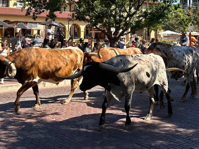 Het beste van Texas