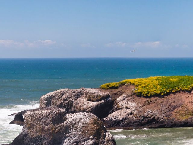 Rondreis Pacific Coast