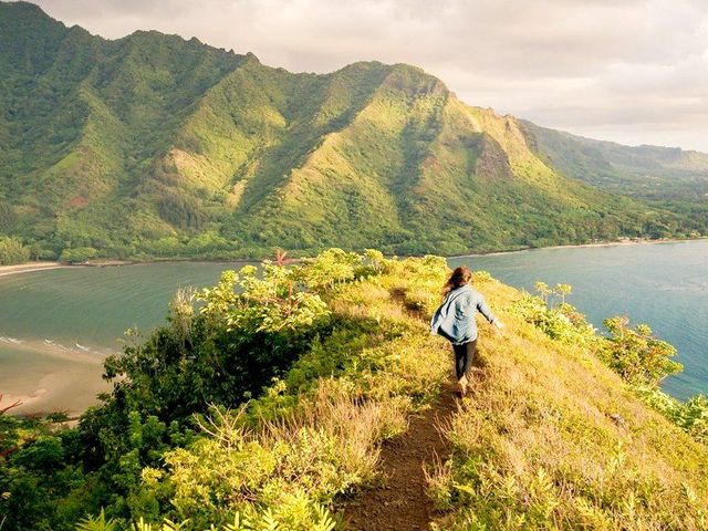 Aloha Hawaii
