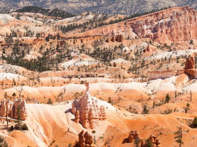 Wild Wild West