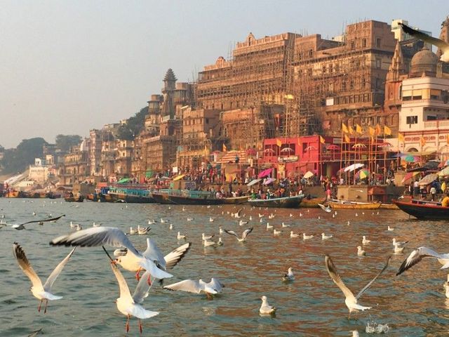 2 weken in Noord-India