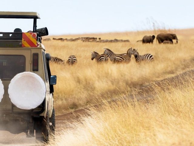 De toppers van Tanzania