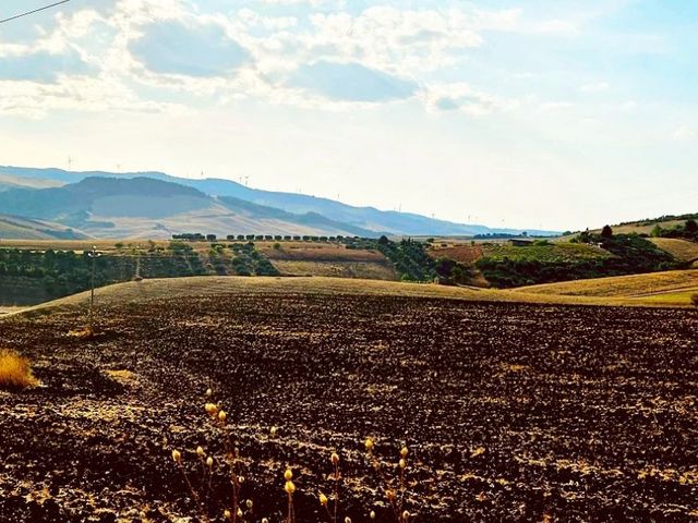 Zuid-Italië: tussen stad en platteland