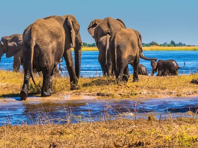 Grenzeloos avontuur met tieners