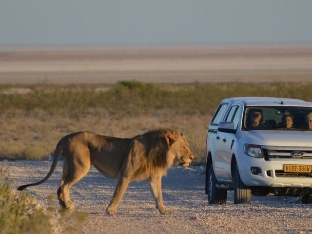 Namibië familiereis