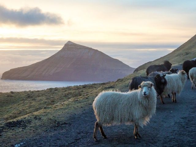 Op avontuur langs de Faeröer-eilanden