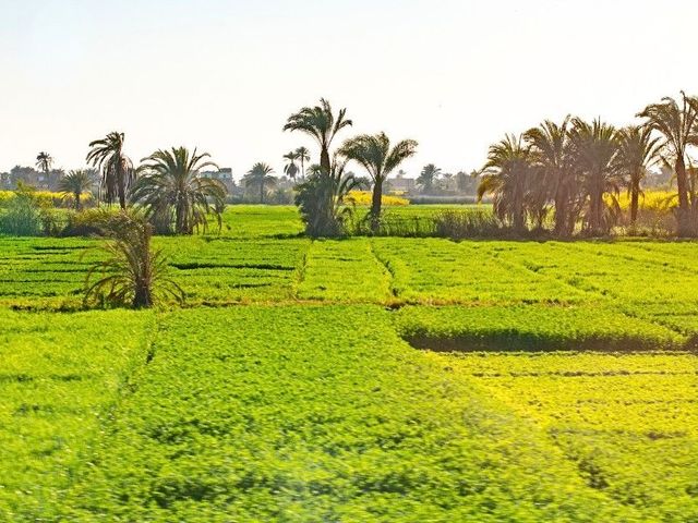 Comfort rondreis Egypte met Nijlcruise