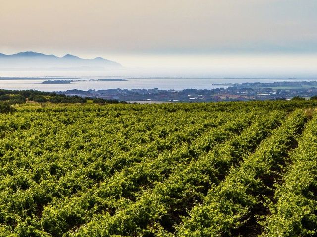 La Dolce Vita in het Westen van Sicilië