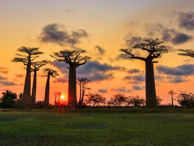Madagaskar selfdrive avontuur in 2,5 week