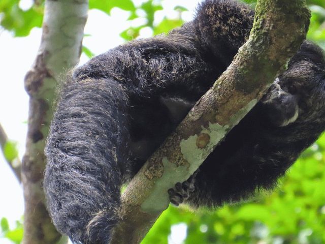 Natuurlijk Ecuador in 3 weken