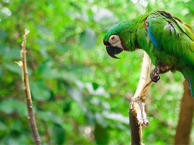 Víva Ecuador & Galapagos in 3 weken
