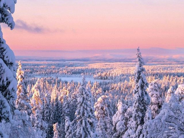 Lapland op Wielen – Vrijheid in de Finse sneeuw