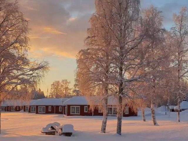 Winter Wonderland op de grens van Fins en Zweeds Lapland