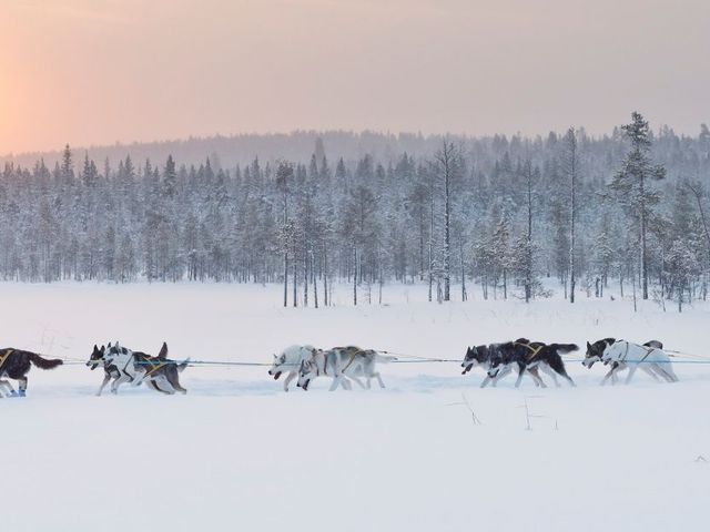 Zweeds Lapland: Husky’s, sneeuwscooters en het noorderlicht