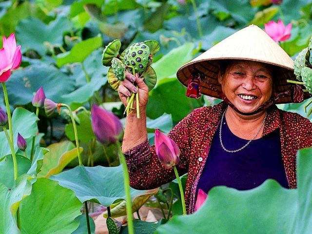 Culinair Vietnam