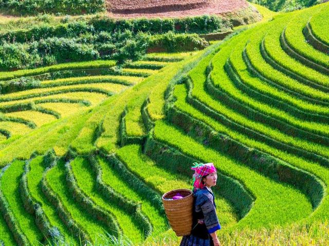 Het beste van Noord-Vietnam