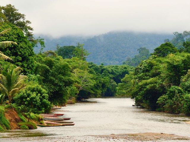Borneo in 2 weken
