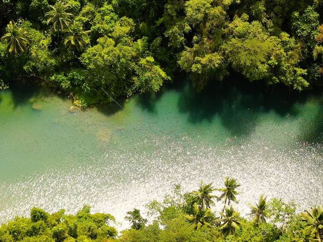 Ultiem Borneo: jungle, wildlife & orang-utans