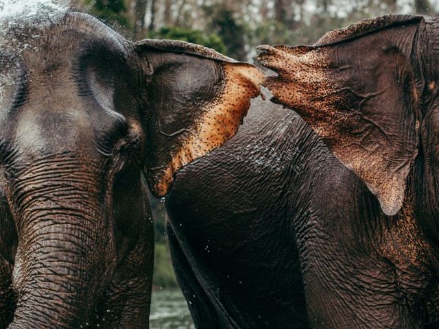 Borneo en Maleisië in 3 weken