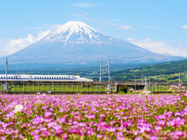 Groepsreis Dromen van Japan