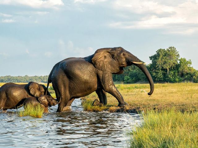 15-daagse rondreis NamibiÃ«, Botswana & Zimbabwe