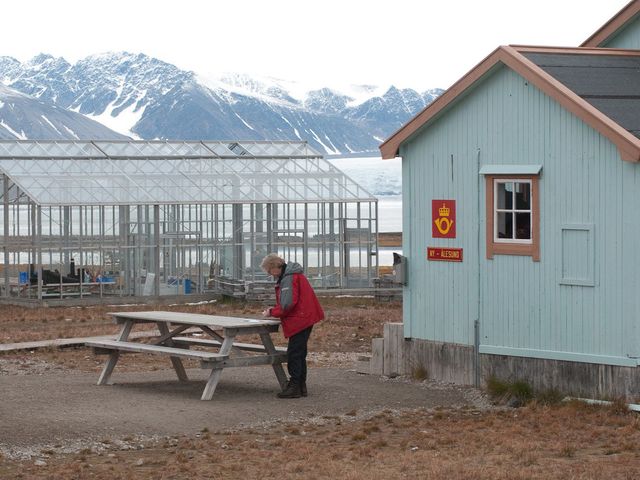 Noord Spitsbergen, De Arctische zomer