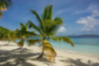 Ecovriendelijke resorts op de Salomonseilanden