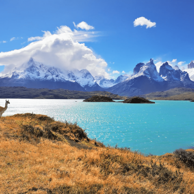 16-daagse single groepsrondreis Guanaco's en Pampa's in Patagonië