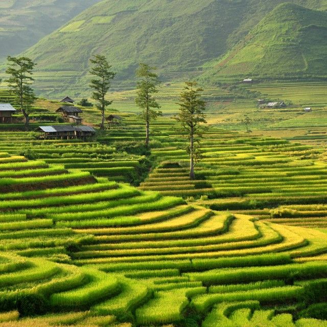 Vietnam rondreis op maat | Better Places
