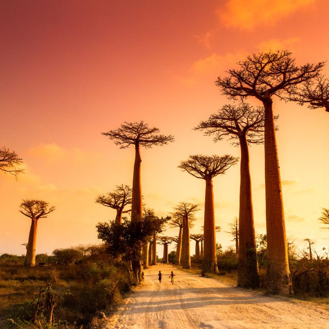 Madagaskar rondreis op maat | Better Places