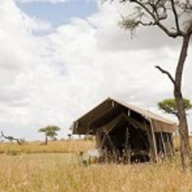 Privé safari in Tanzania voor natuurliefhebbers