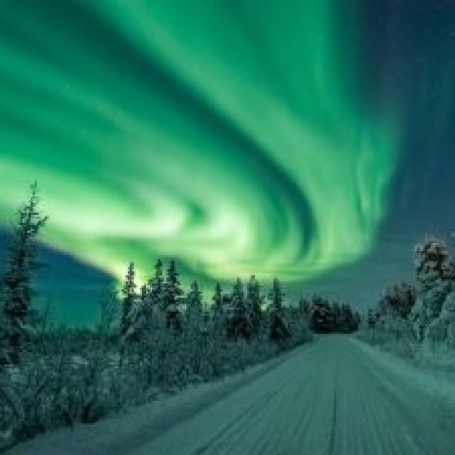 Zweeds Lapland: Huskey's, sneeuwscooters en het noorderlicht