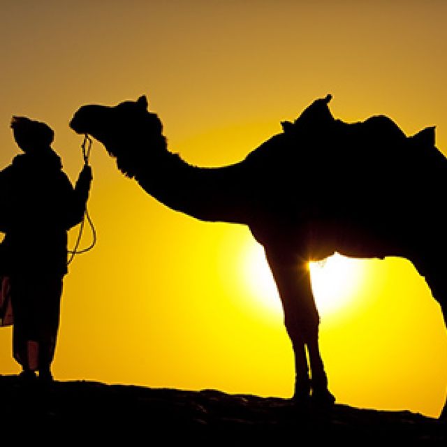 Groepsreis India Rajasthan; Het land van de Maharadja's