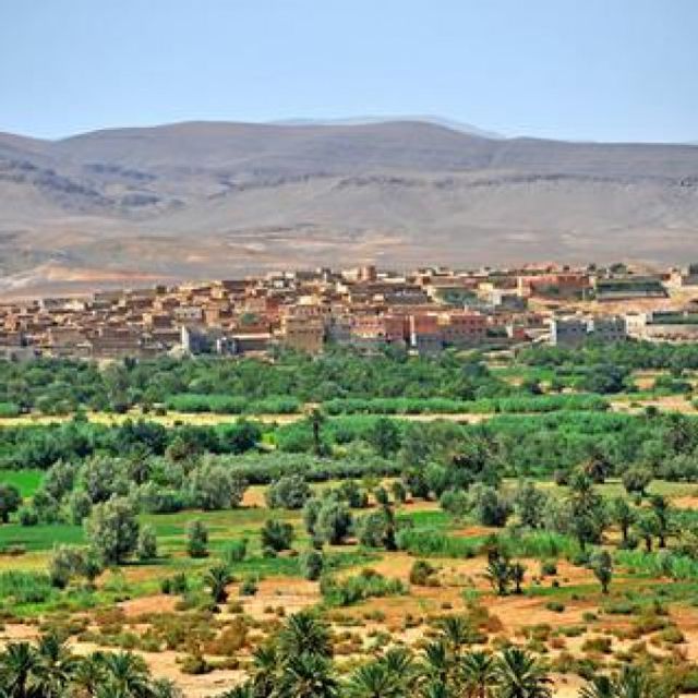 8 daagse fly drive Koningssteden van Marokko