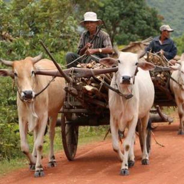 Rondreis Hoogtepunten van Cambodja (14 dagen) - Van Verre Reizen