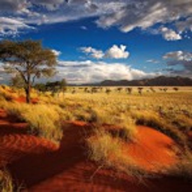 Rondreis Namibië, Woestijn en Wildparken (14 dagen) - Van Verre