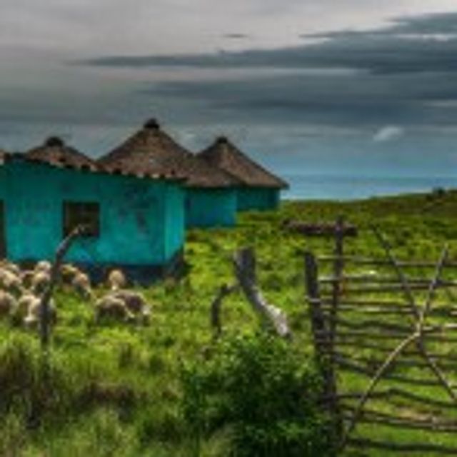 Rondreis Zuid-Afrika; Kust en wildparken (25 dagen) - Van Verre
