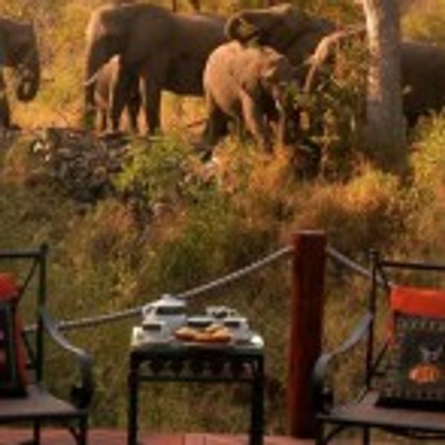 Rondreis Zuid-Afrika: Country House en Safari Lodge (23 dagen) - Van Verre